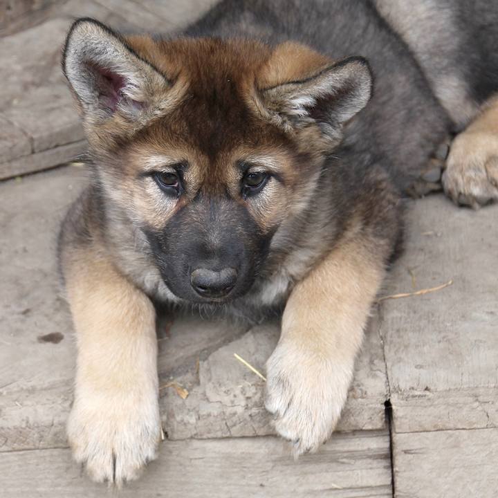 4832469c 4436 4df9 8838 271534dfc2e6 1579822094535