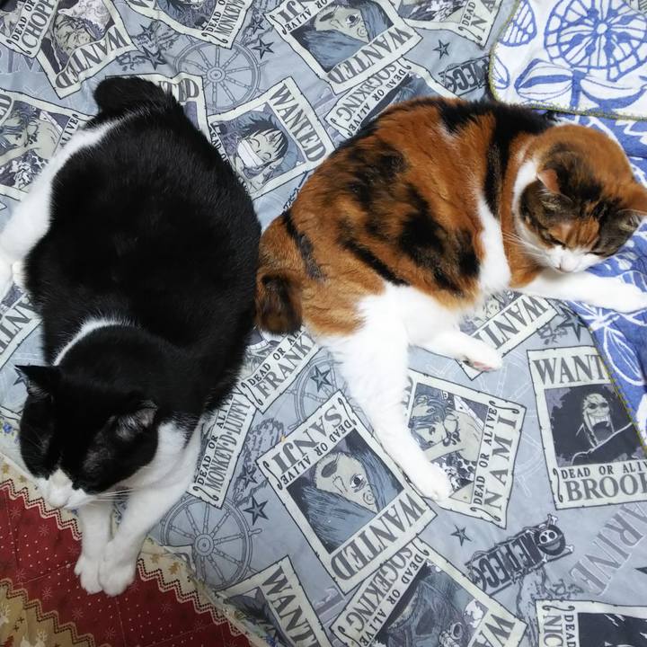 48325814 05b3 4dec 8668 f2c40458c583 1568325614891