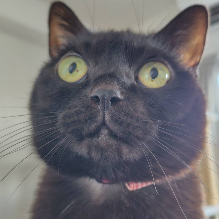 48326c70 7064 46dc 928a c1021a2c8fe3 1767056116257