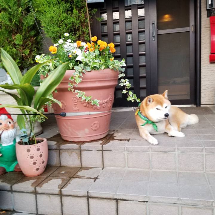 48326f67 bdba 432b 8f17 eab0c60574c6 1557999349172