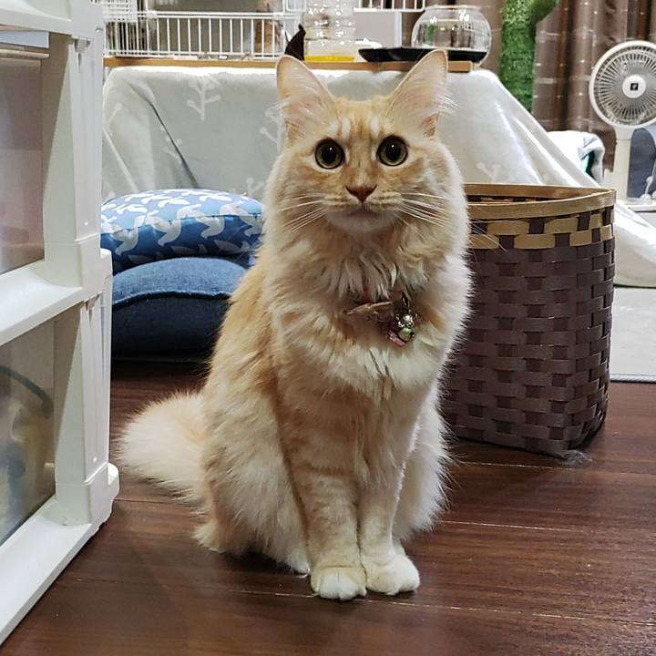 48329088 99ed 4358 81b4 d97a20bcafa8 1699362635601