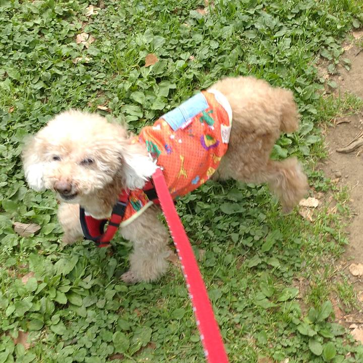 4832ae78 5b2a 401f 8b43 493983770c96 1683356828711