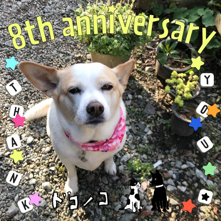 4832d411 ce31 442c 81a6 3f565ea06929 1717605119769