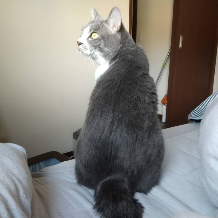 48332a43 e8b8 458e 8464 8c8f02ddbbd9 1643503655370