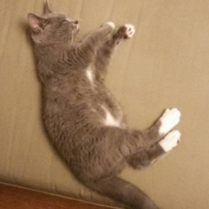 48332cac d7c5 497f b3fe ff247a381ad2 1533594133889