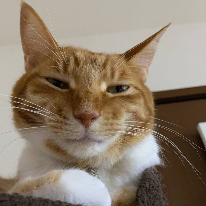 483355e7 2b63 4e07 af93 ae5303322849 1703382933241