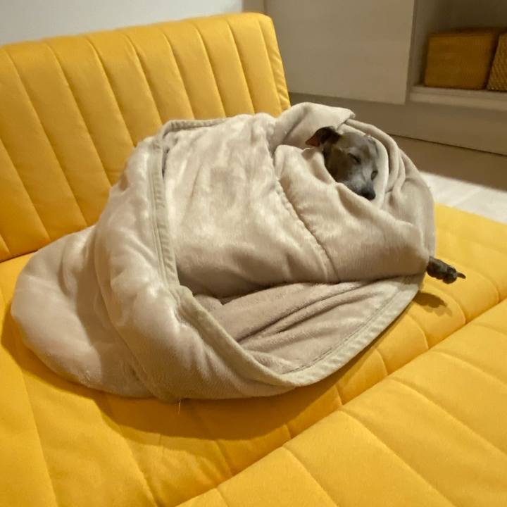 48338262 017a 4cd6 8343 5411a182db0c 1765712357245