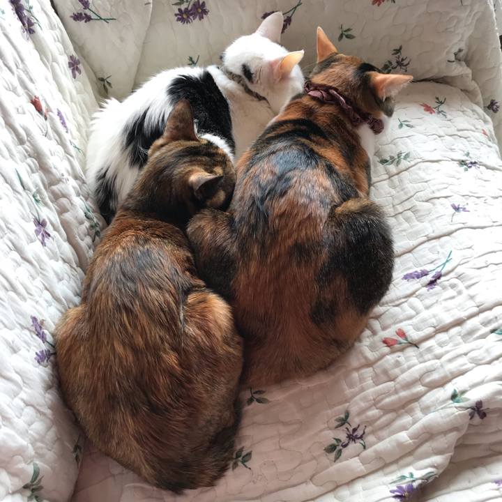 4833ae17 7398 4462 9bd9 dafd70292dbb 1640317435303