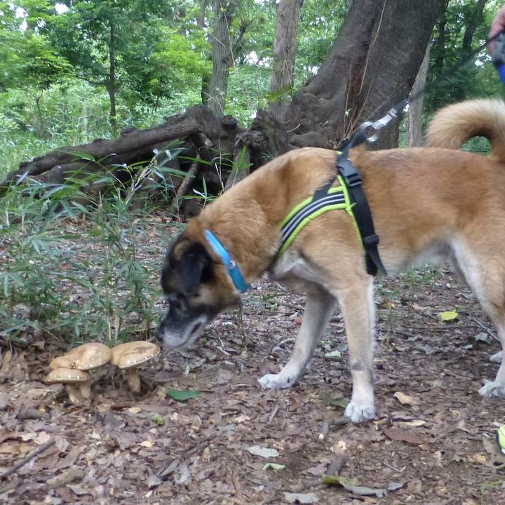 4833ffb8 9aae 46d3 bc75 7a77658e6a8f 1580518869369