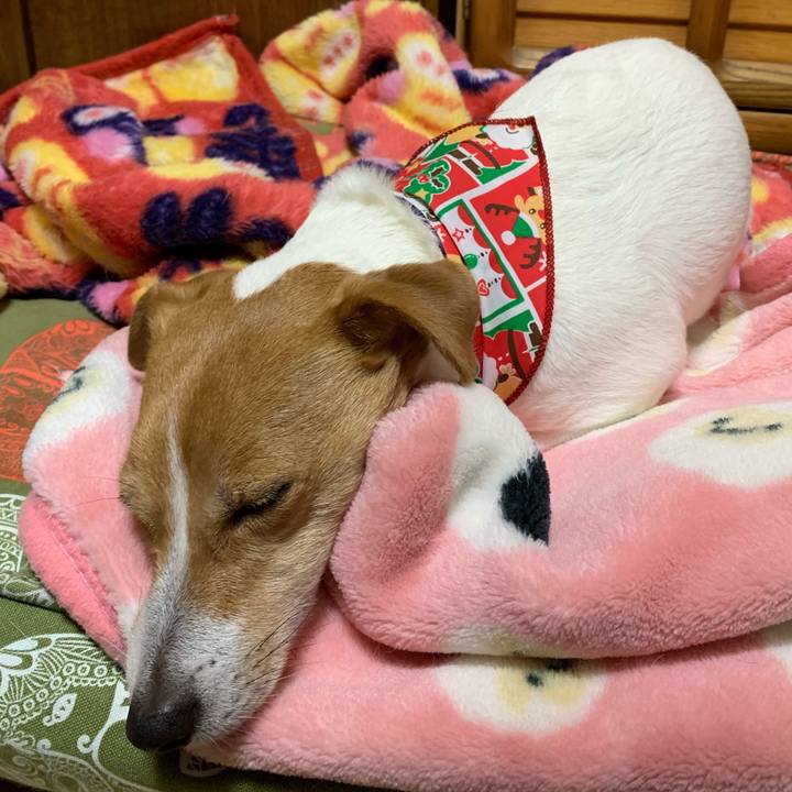 48340b2c 44da 4050 a29f 4abd23cb8ab1 1577054656765