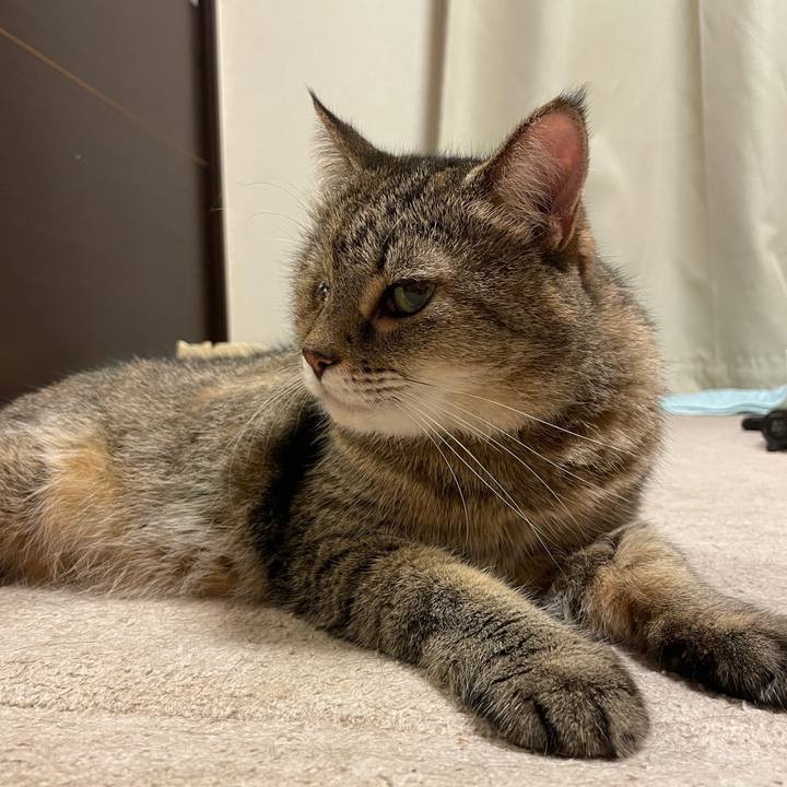 4834248e 73ff 456b ae1e 74e58b3c9bb0 1756075780634