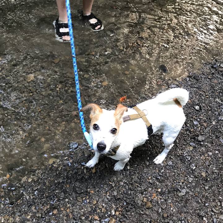 4834da78 455b 4750 810f 9d1017560fcc 1589717704730