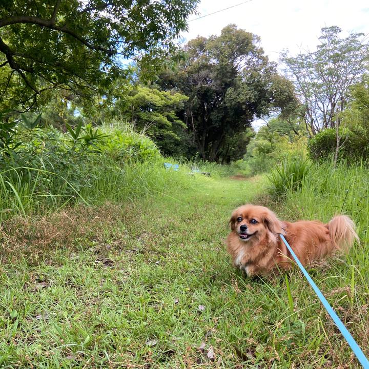 4834f04a 1e6b 4112 820c 8d13d5e5fe4a 1658699988093