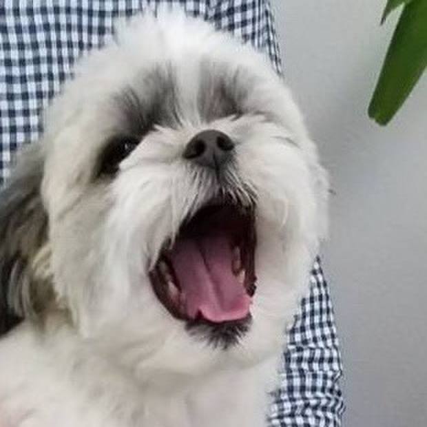 483532c5 0605 4564 a6f7 0e7e788b889b 1525321312098