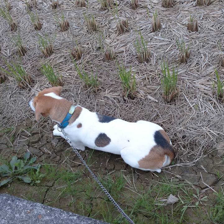 48353688 114f 4515 ac8f 6d3e49e118a5 1604215747386