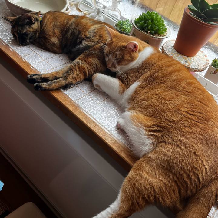 4835622f dd96 4495 93ae 6e23181eebb7 1735184442087