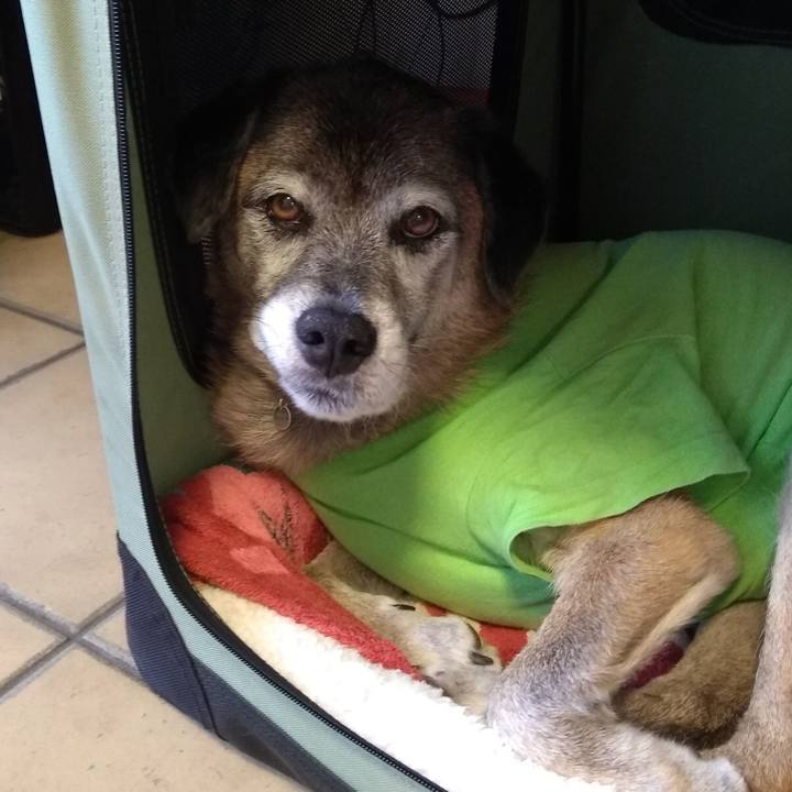 4835d14f 97e5 47eb 9a81 fd1e03205076 1571890771426