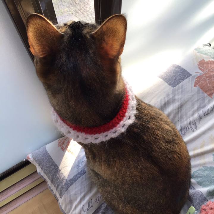 48363387 b2b5 4b52 8bdb 7570cb0e0014 1609027977799