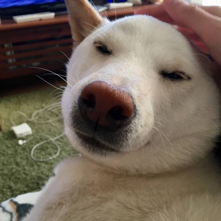 483669a9 f205 4744 9cea dcdd87b92928 1518697676947