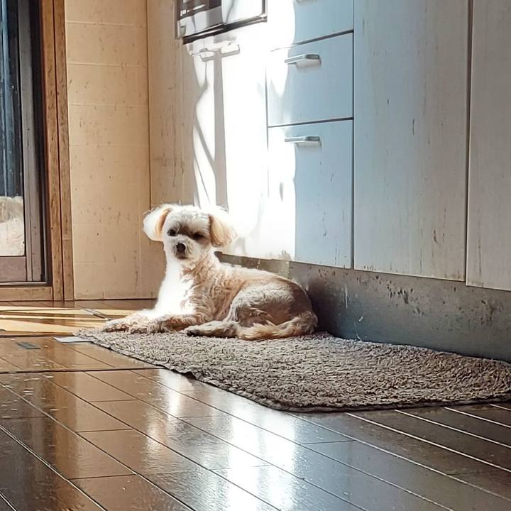 483672a9 0c20 4414 a34d e37dc536c0ed 1643174277496