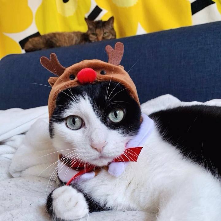 4836cb4f e224 42e4 8eed 707fcb83bcd3 1703460316137