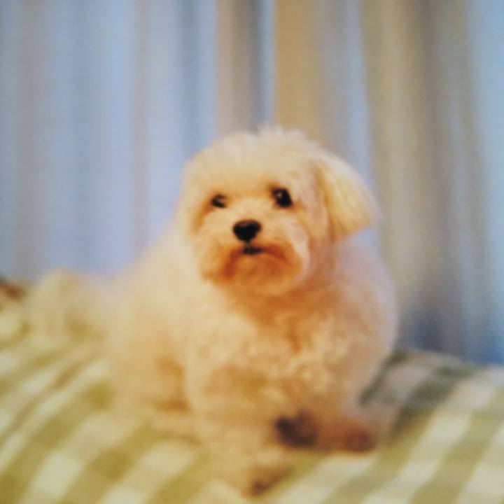 4836efac 5429 4175 9f65 3158ae1012fd 1588906870327