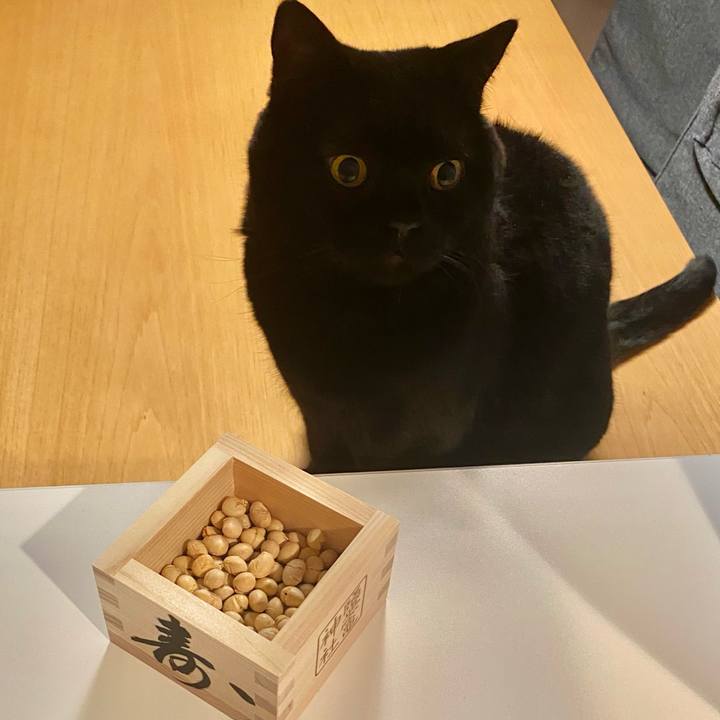 48371dfd f7e8 46ea 8d0e 8e93e077e951 1738496423439