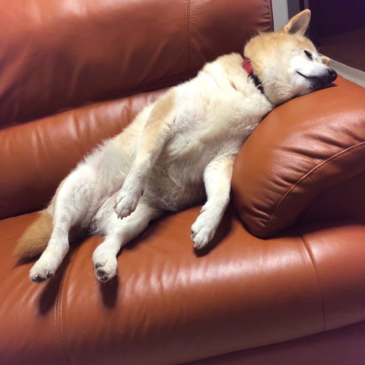 483721a2 d89d 488a b5f0 1f1e063677bd 1592532754857