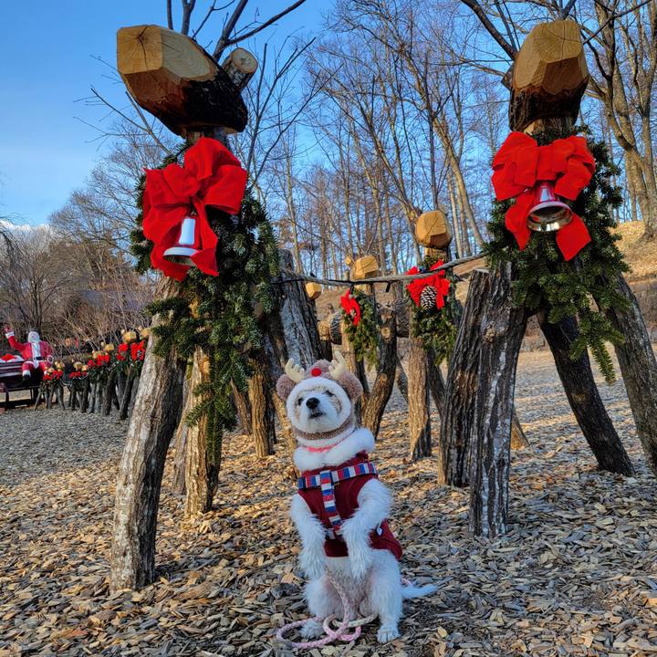 4837441e e53d 481f b6a0 c1d795fb5d8e 1766546347403