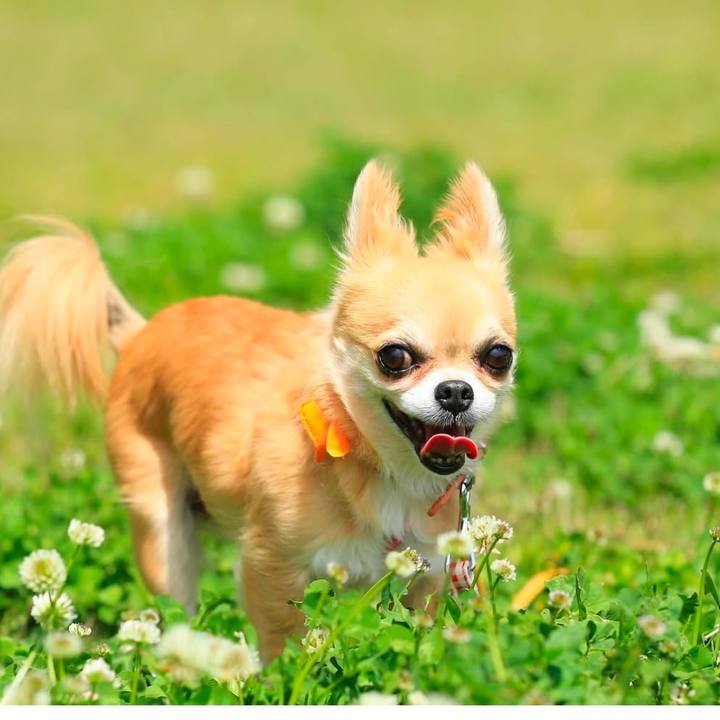 48375048 cc40 48f6 ac97 4fd5e93ead1e 1736485829395