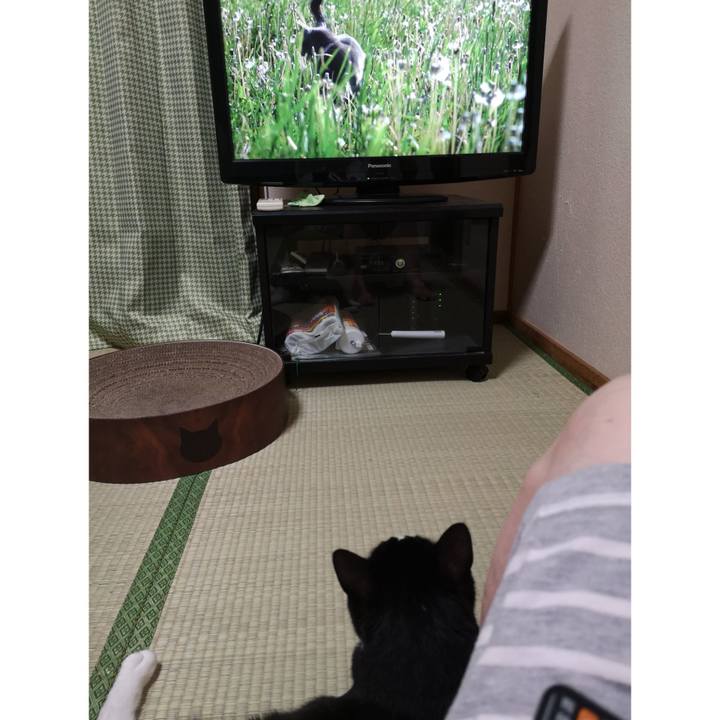 4837ab6b 999c 49b0 b3d3 de31f71a528f 1660707068902