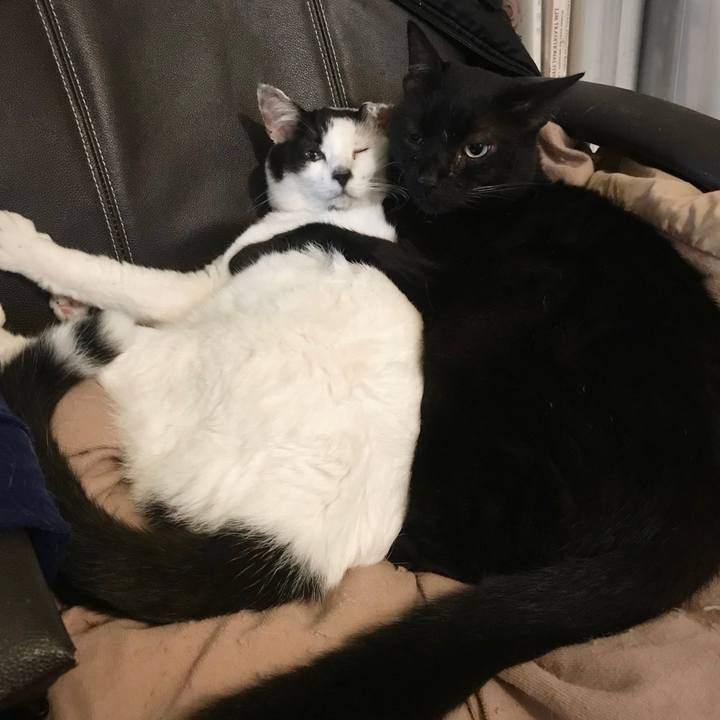 4837ad9d b00f 4353 b654 0e2a4aaca702 1665066875641