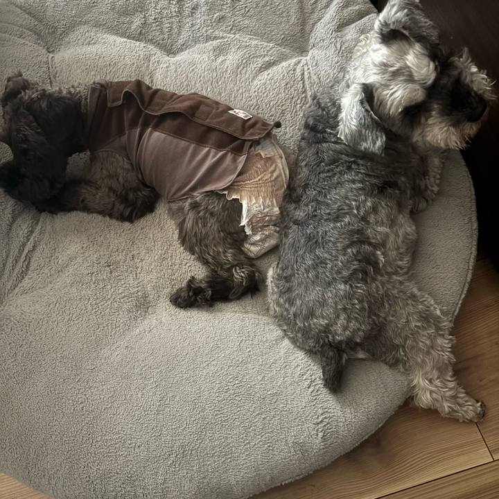 48381579 91a8 4fdb a1d5 ce48edb8862a 1742617793378