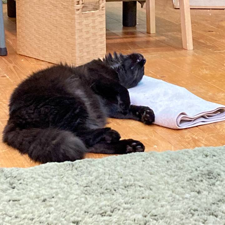 48383b9f 1a8c 4844 ad5b ffa2f9b4b6d5 1724914484375