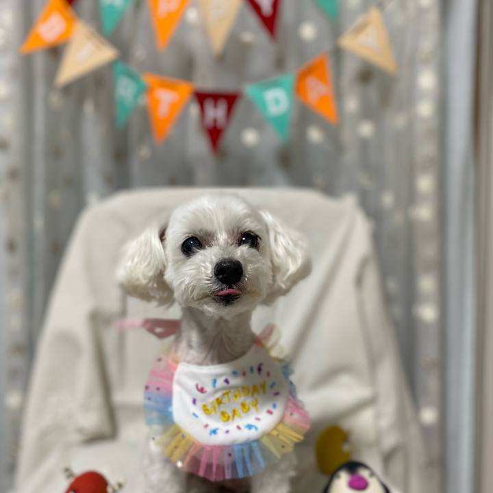 48386250 4adb 46af 8b7e 6563b7ef83d3 1721262911168