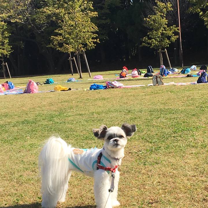 4838e974 abe2 48dd a4cf 20af36404039 1540443471521