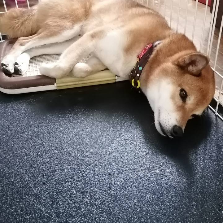 4838ee97 fabb 4f98 a2be bf1c60c0b93a 1597193241406