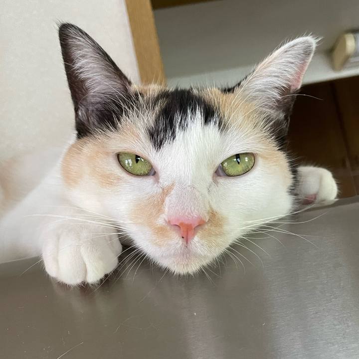 483910dc be14 4060 ab19 e19e3d7fa1a9 1723457812564