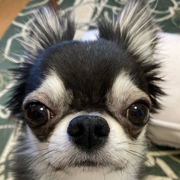 4839a3c2 fad9 4a24 a649 35646f8a6814 1641684803652