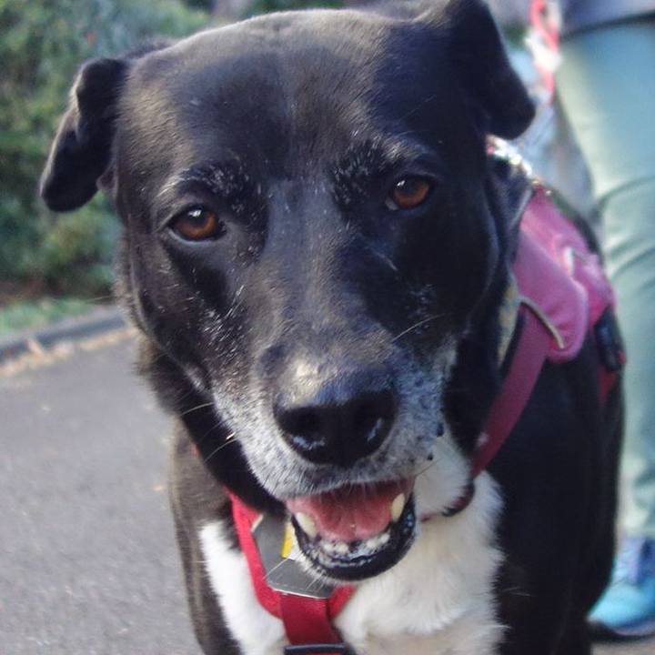 4839a77e d8a1 4d29 835d a923f61167eb 1700350854483