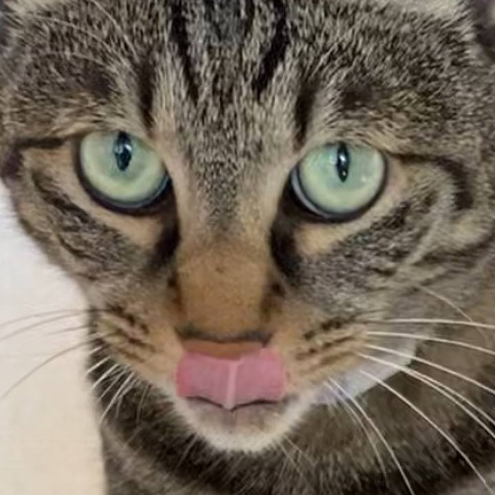 4839b6b5 2bbb 4f2d a05c 504524dbb66f 1608612759117