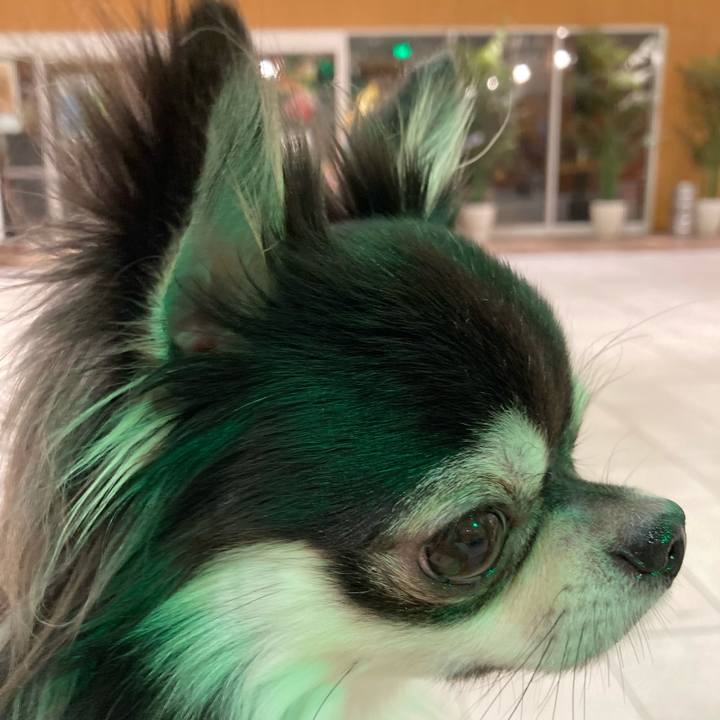 483a1b10 2280 43ac 9707 b54bfc2d1881 1635686023106