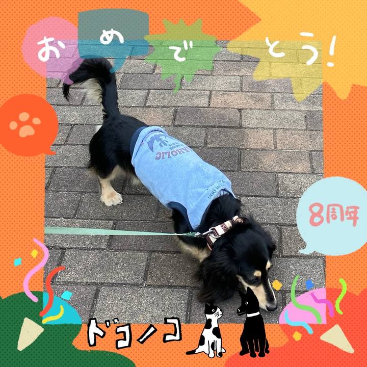 483a647b 79d2 431b 866a 2e65cc9a1034 1717636851380