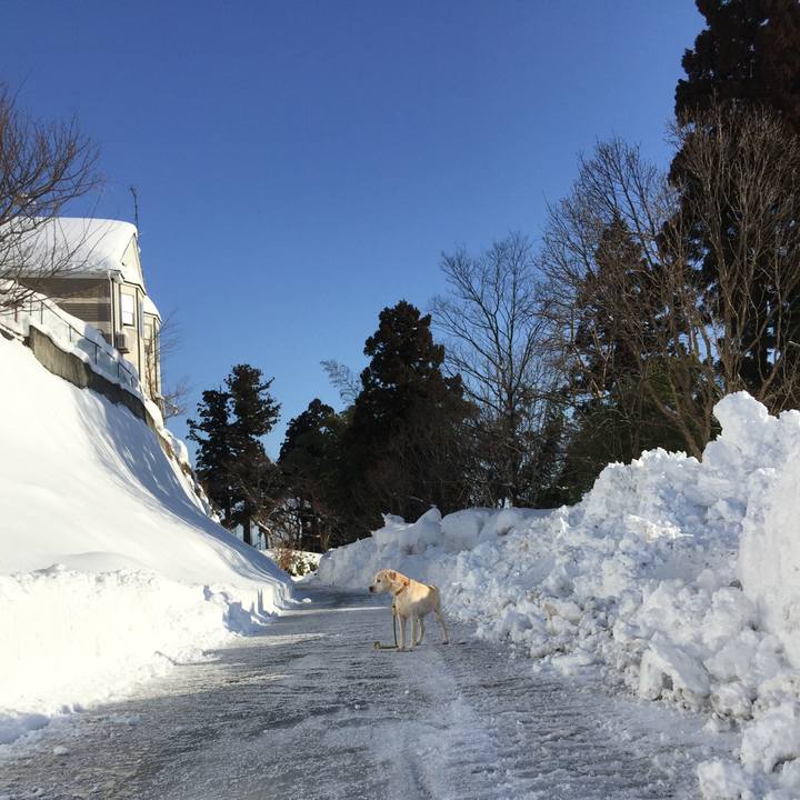 483aa188 3fd9 4769 8cbf c2ef598d20d4 1519304737155