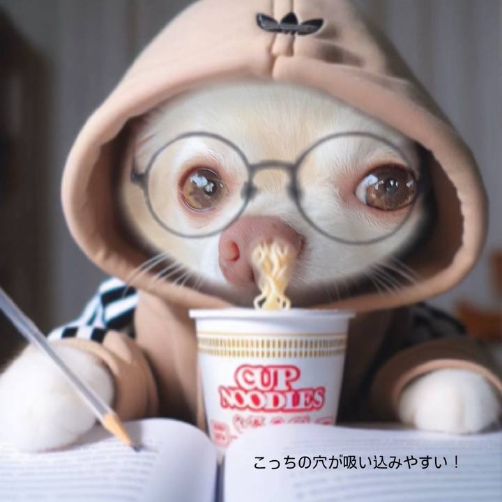 483aa9af 1adb 485e b131 e1f6e5c0d6aa 1727597247509