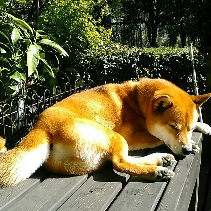 483ac04a 3cfb 4852 8c50 373f446a5823 1554269826827