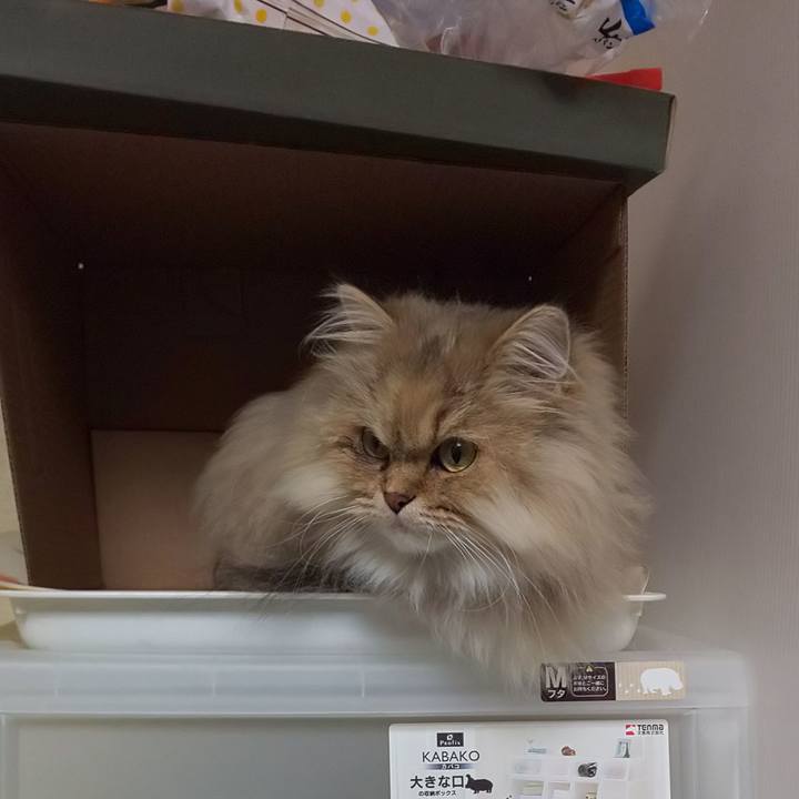 483ae315 f0f7 4054 921b 528339251eaa 1604622715664