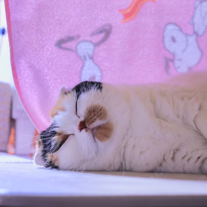 483af879 49c9 4d65 861e f42ef5c03dac 1564793203399