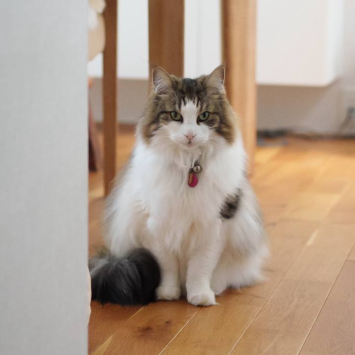 483b1491 3128 4678 808e 6e3ba0e07c23 1714701168552