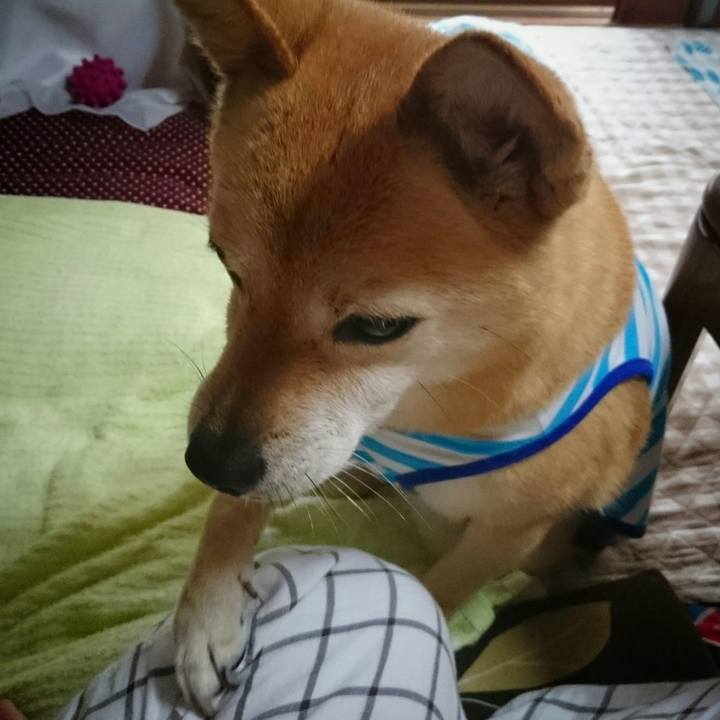 483b21df 92c1 4566 b9f7 ea01f797d0b4 1538668269469